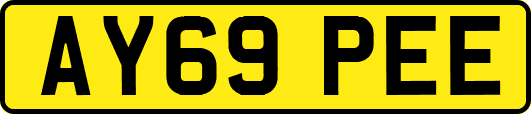 AY69PEE