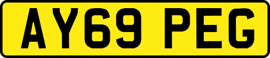 AY69PEG
