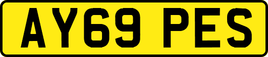 AY69PES