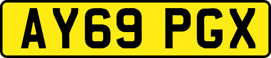 AY69PGX