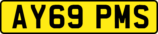 AY69PMS