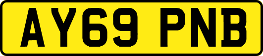 AY69PNB