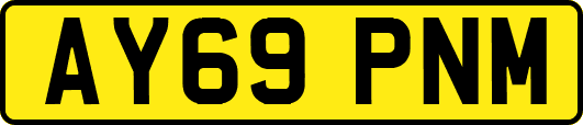 AY69PNM
