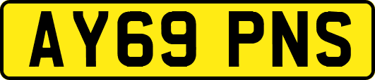 AY69PNS