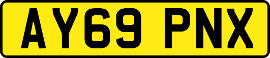 AY69PNX