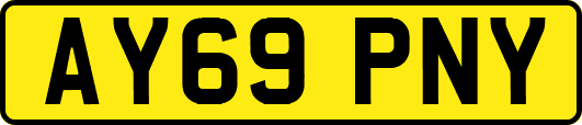 AY69PNY