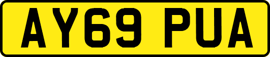 AY69PUA