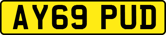 AY69PUD