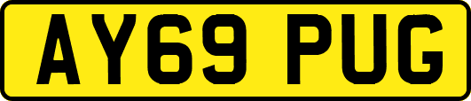 AY69PUG
