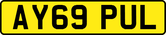 AY69PUL