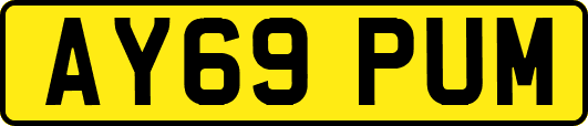 AY69PUM