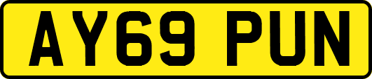 AY69PUN
