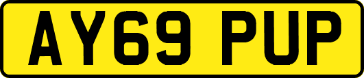 AY69PUP