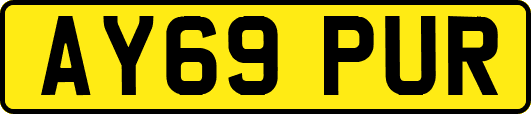 AY69PUR