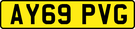 AY69PVG