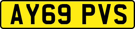 AY69PVS