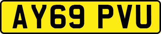 AY69PVU