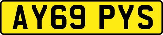 AY69PYS