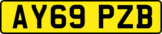 AY69PZB