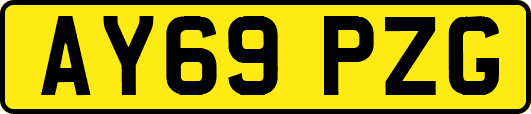 AY69PZG