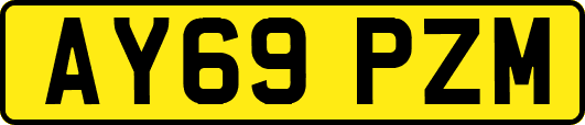 AY69PZM