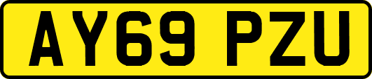 AY69PZU