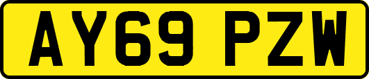 AY69PZW