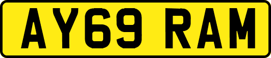 AY69RAM