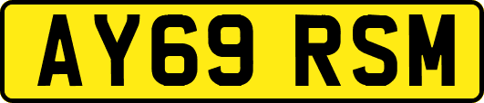 AY69RSM