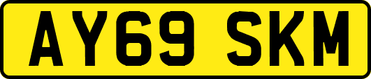AY69SKM