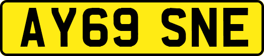 AY69SNE