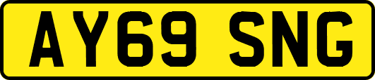 AY69SNG