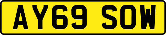 AY69SOW