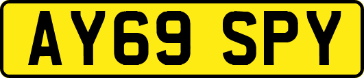 AY69SPY