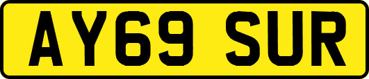 AY69SUR