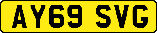 AY69SVG