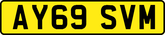 AY69SVM
