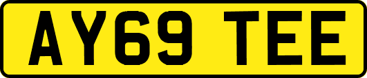 AY69TEE