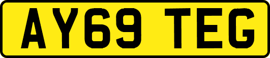 AY69TEG