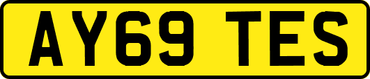 AY69TES