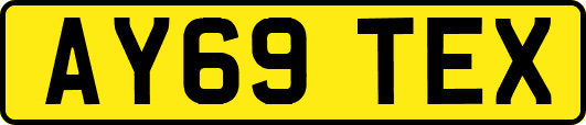 AY69TEX