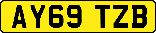 AY69TZB
