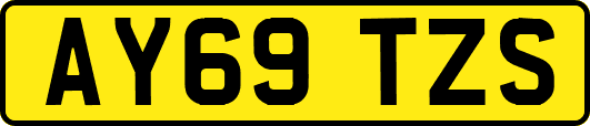 AY69TZS