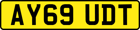 AY69UDT