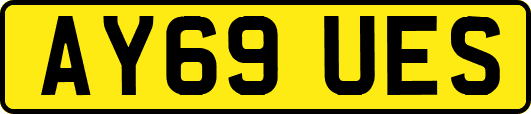 AY69UES