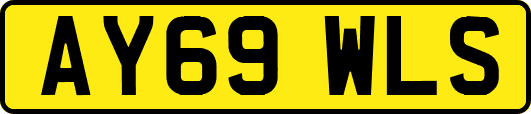 AY69WLS
