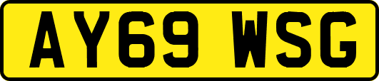 AY69WSG
