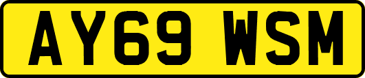 AY69WSM