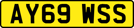 AY69WSS