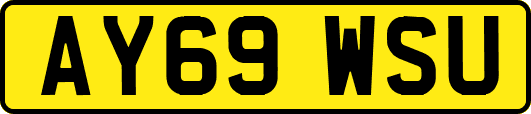 AY69WSU